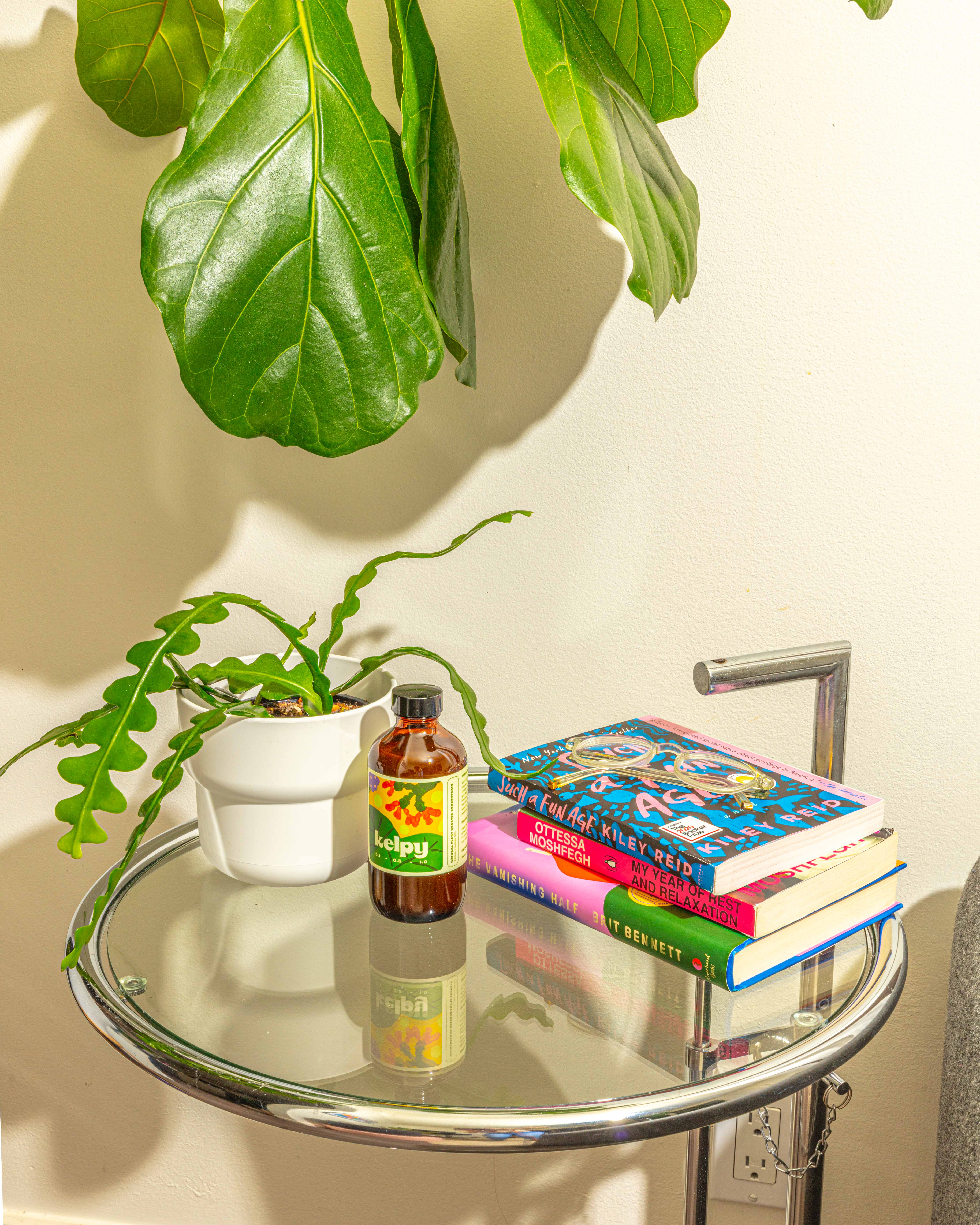 Kelpy - Wholesale Fertilizer - Kelpy Plant Food 250ml/ 8.5 fl oz "Green Thumb Size"6