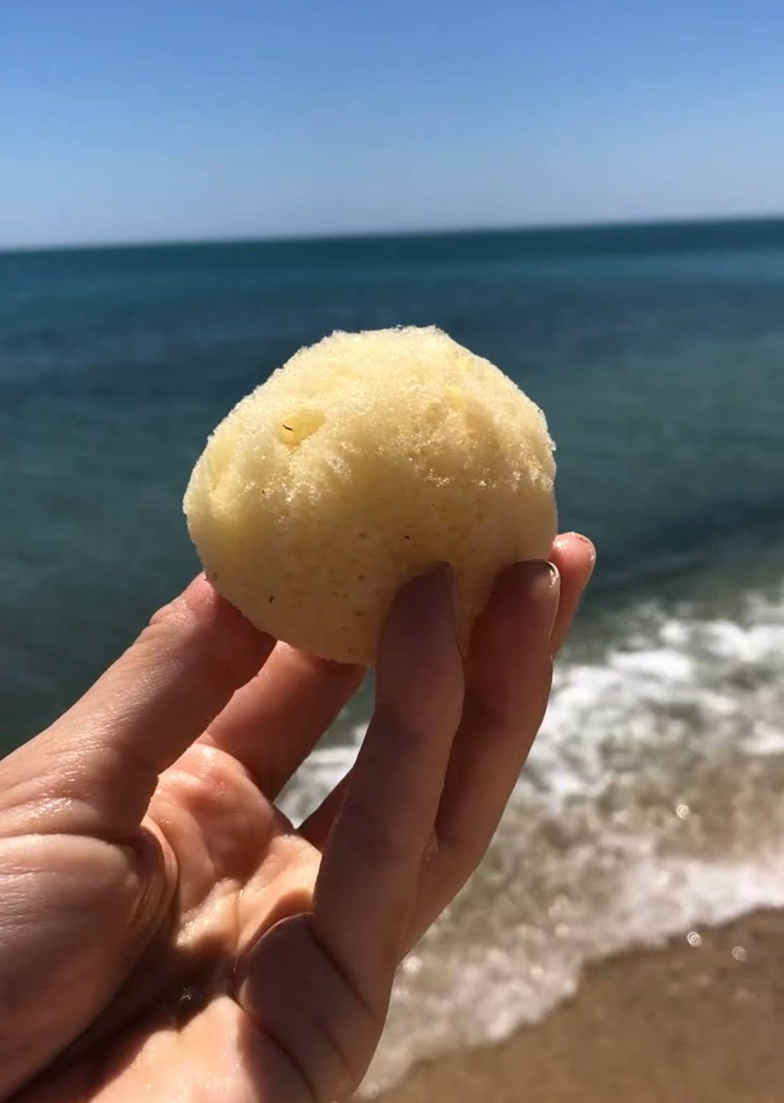 Katari Beauty – Großhandel Badepuff/-schwamm – Reinigungs- und Peelingschwamm | Seidig weicher Meeres-Schwamm 5-7,5 cm2