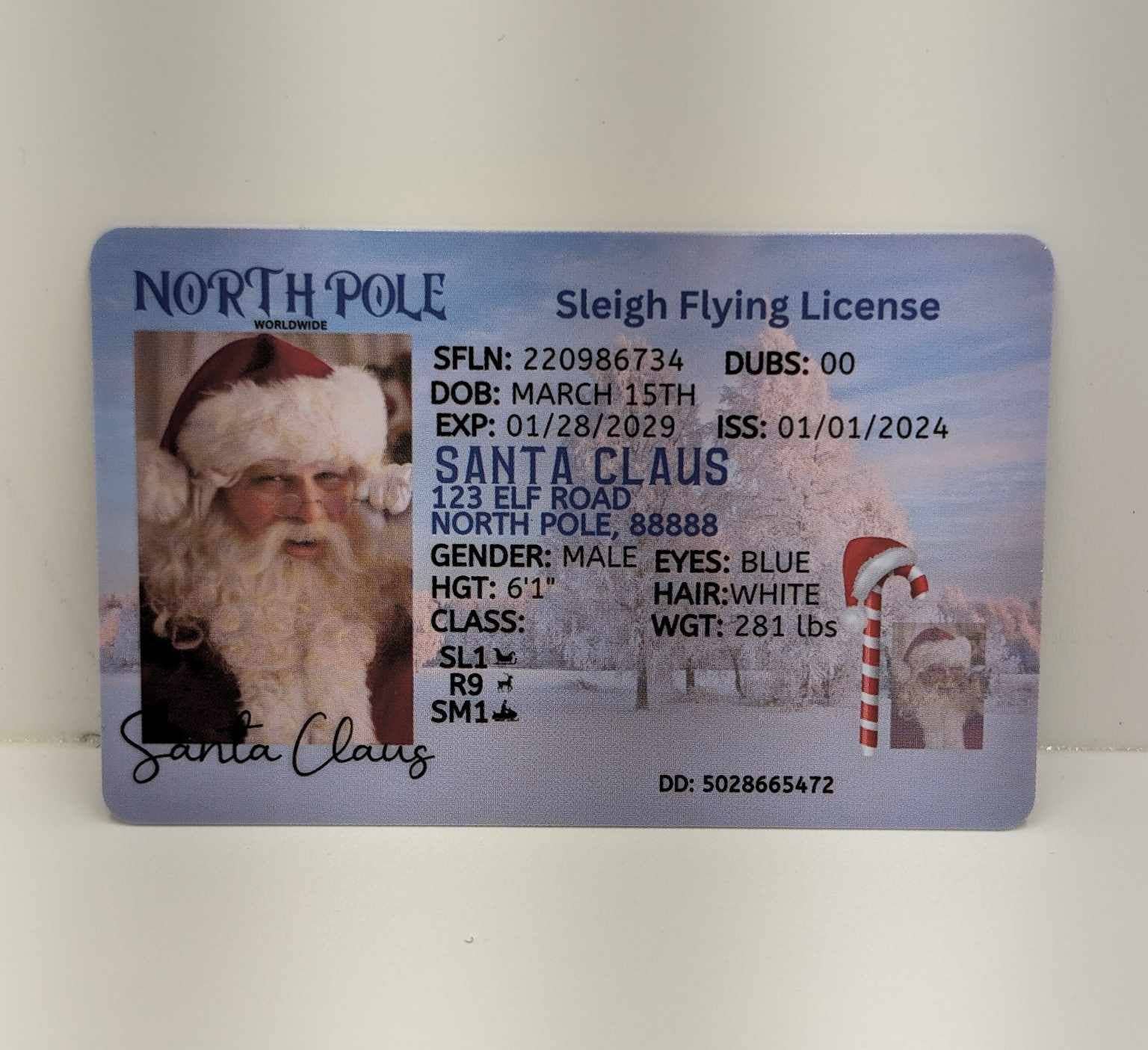 Snowfall Ridge LLC Accessories - Wholesale Kerstdecoratie - Santa Evidence Kit1