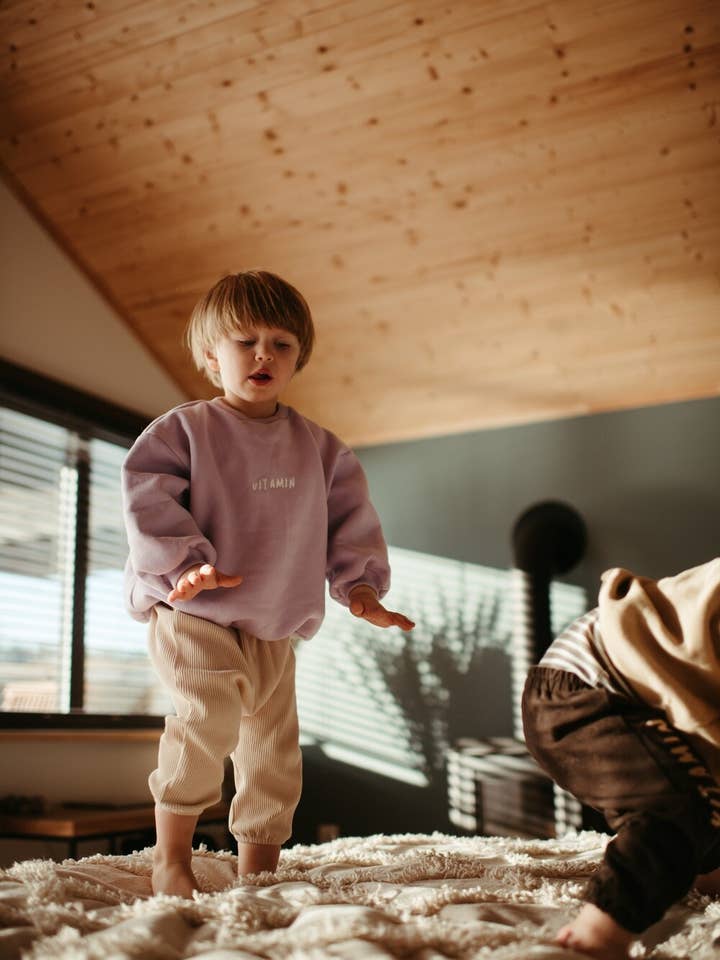 Chunky Vitamins Sweatshirt in Purple Colour for wholesale by millawkids