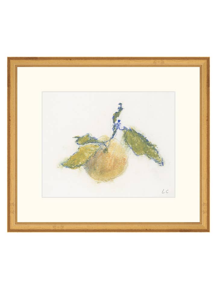 Arancione Pastello II per la vendita all'ingrosso da parte di Splendus