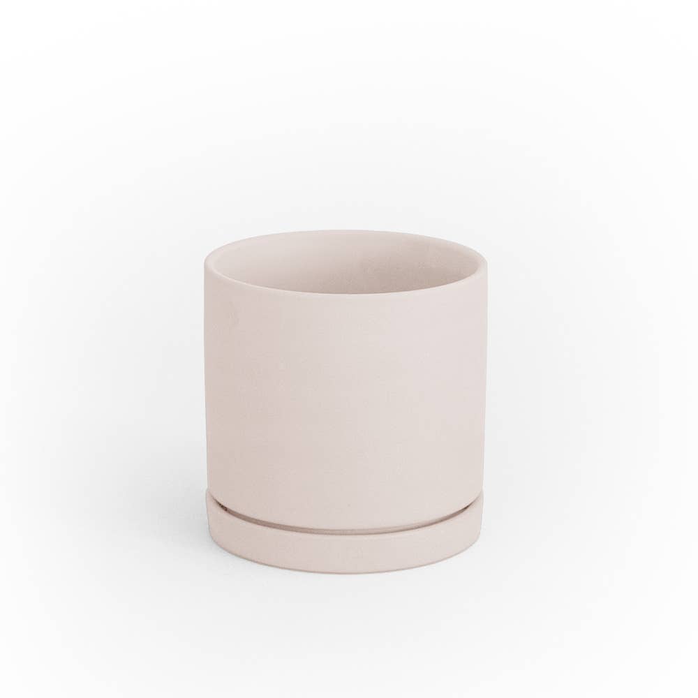 Chive - Wholesale Plant Pot - Dojo Flower Planter Pots With Drainage 3 Inch Planter23