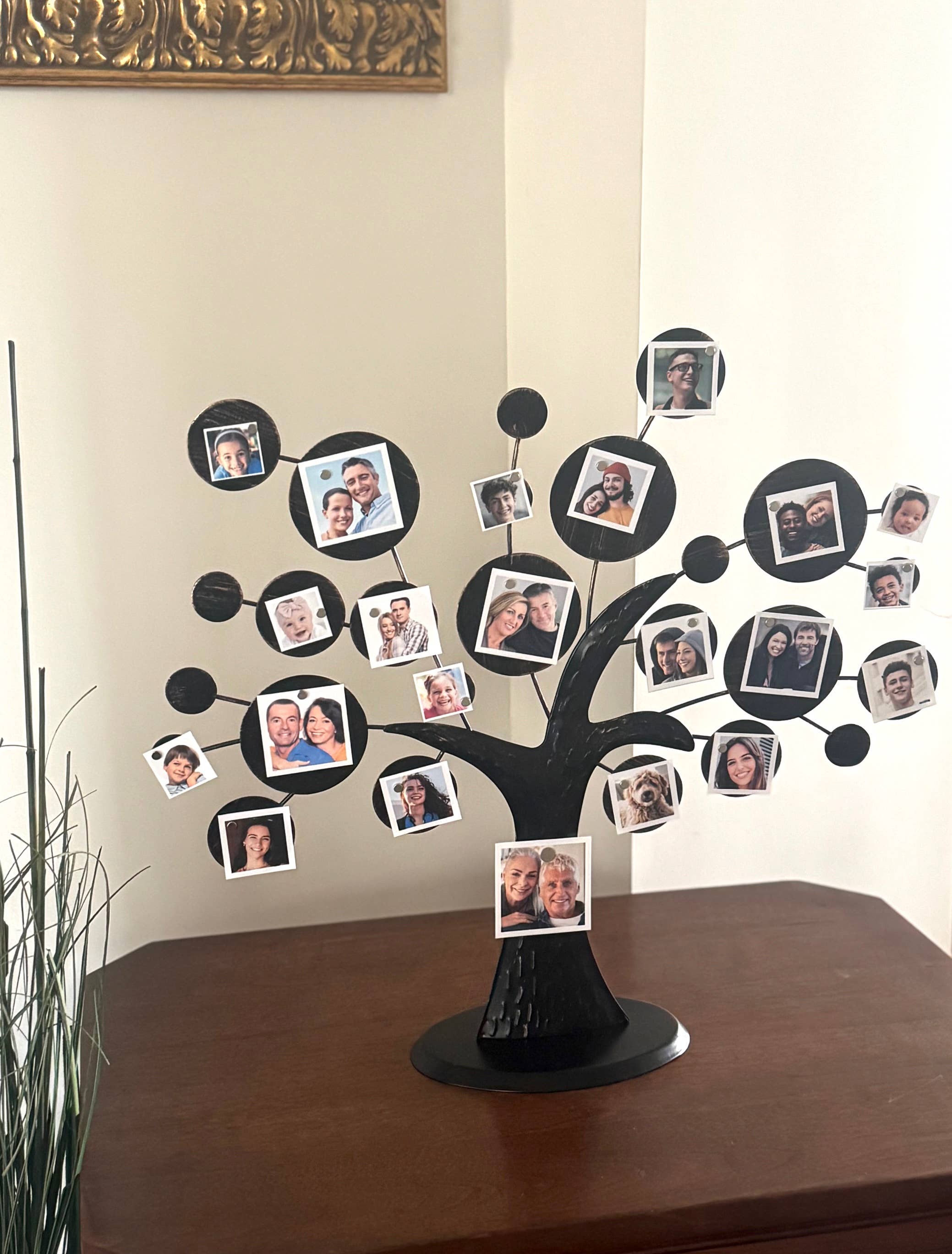 FamilyTree Traditions LLC - Wholesale Picture Frame - Magnetic Photo Display Family Tree3