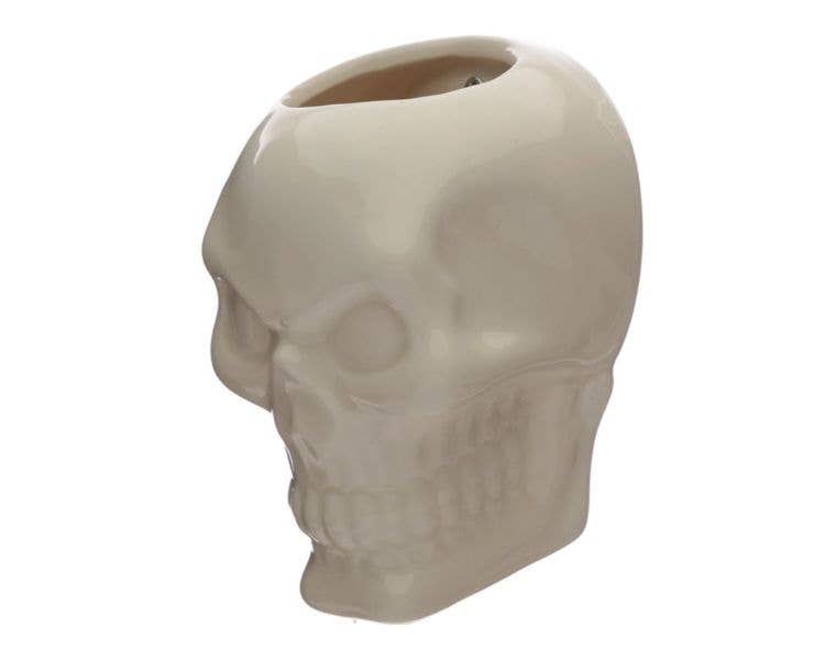 Crystal Magick Wholesale Ltd – wholesale Wall planter – Ceramic Skull Wall Plant Pot1