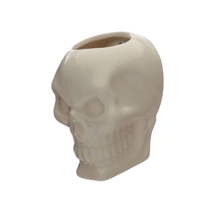 Crystal Magick Wholesale Ltd – wholesale Wall planter – Ceramic Skull Wall Plant Pot1