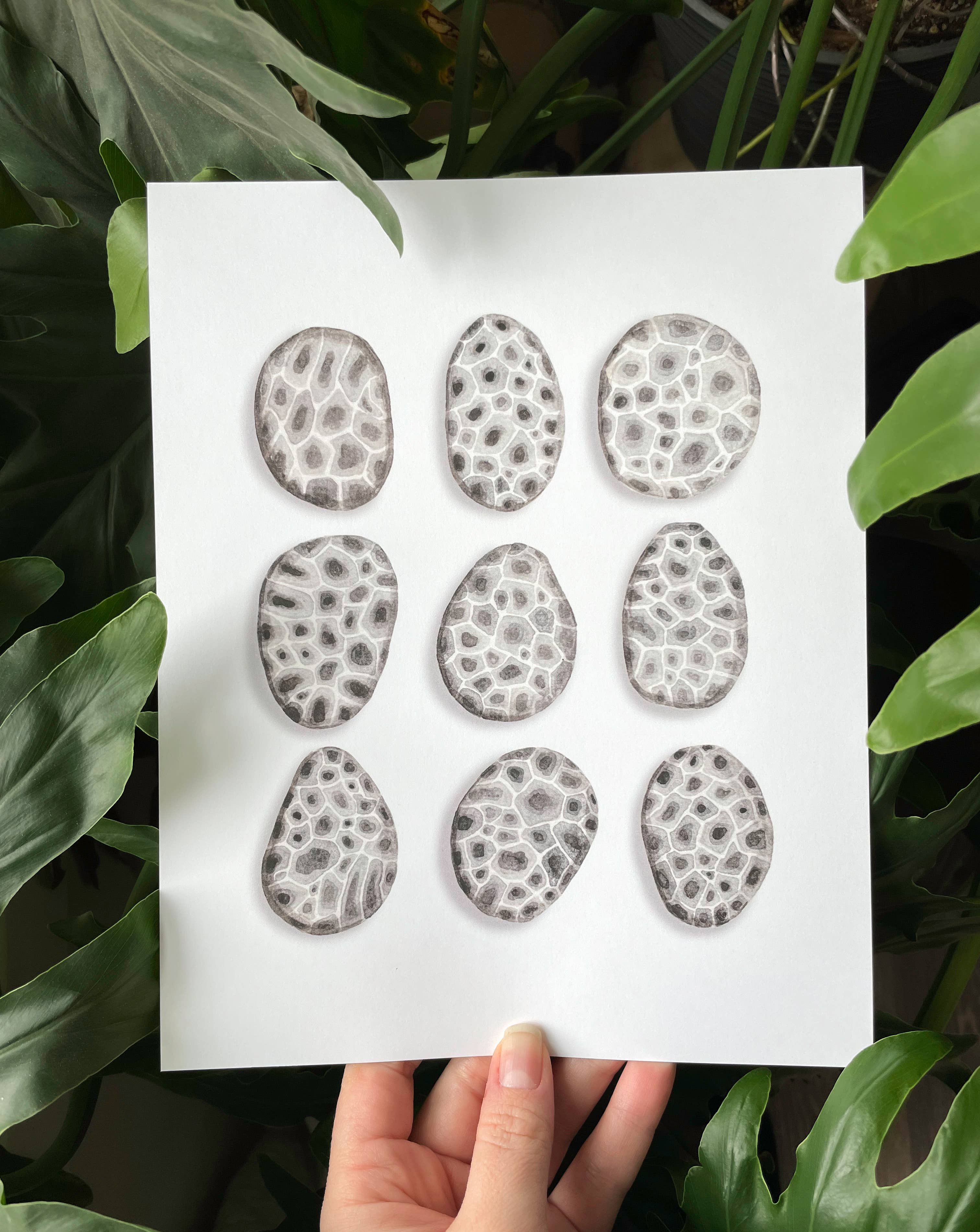 NorthHouse Creative Co. - Wholesale Art Print - Petoskey Stone Watercolor Art Print9