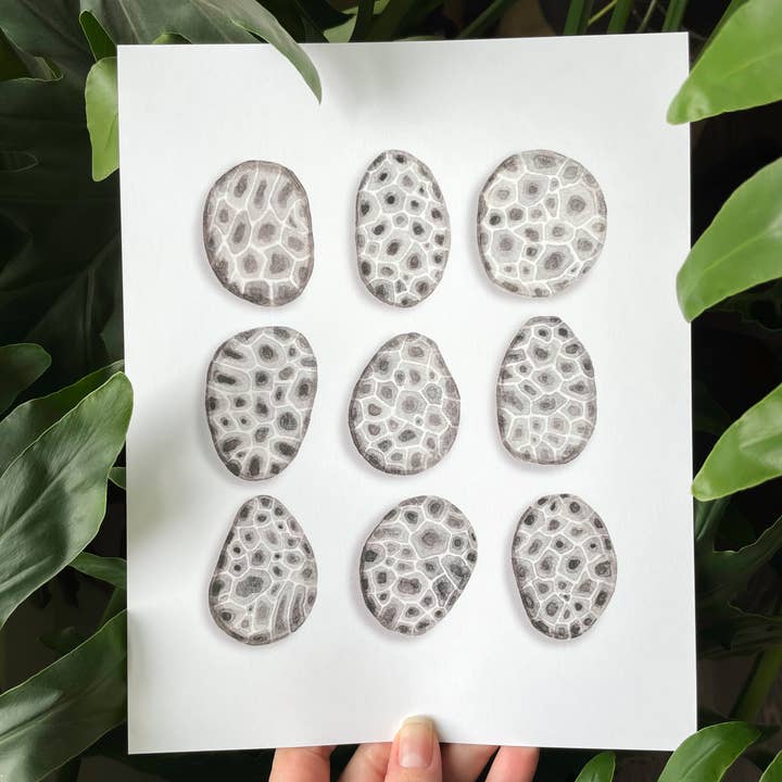 NorthHouse Creative Co. – wholesale Art print – Petoskey Stone Watercolor Art Print9