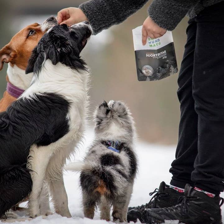 Sund Hundmat – wholesale Pet treats – Dog – Freeze-dried Deer chunks 60g4