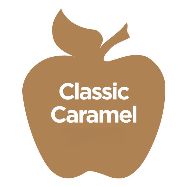 Plaid Crafts - Wholesale Acrylic Paint - Apple Barrel ® Multi-Surface Satin Acrylic Paint - 2 oz49