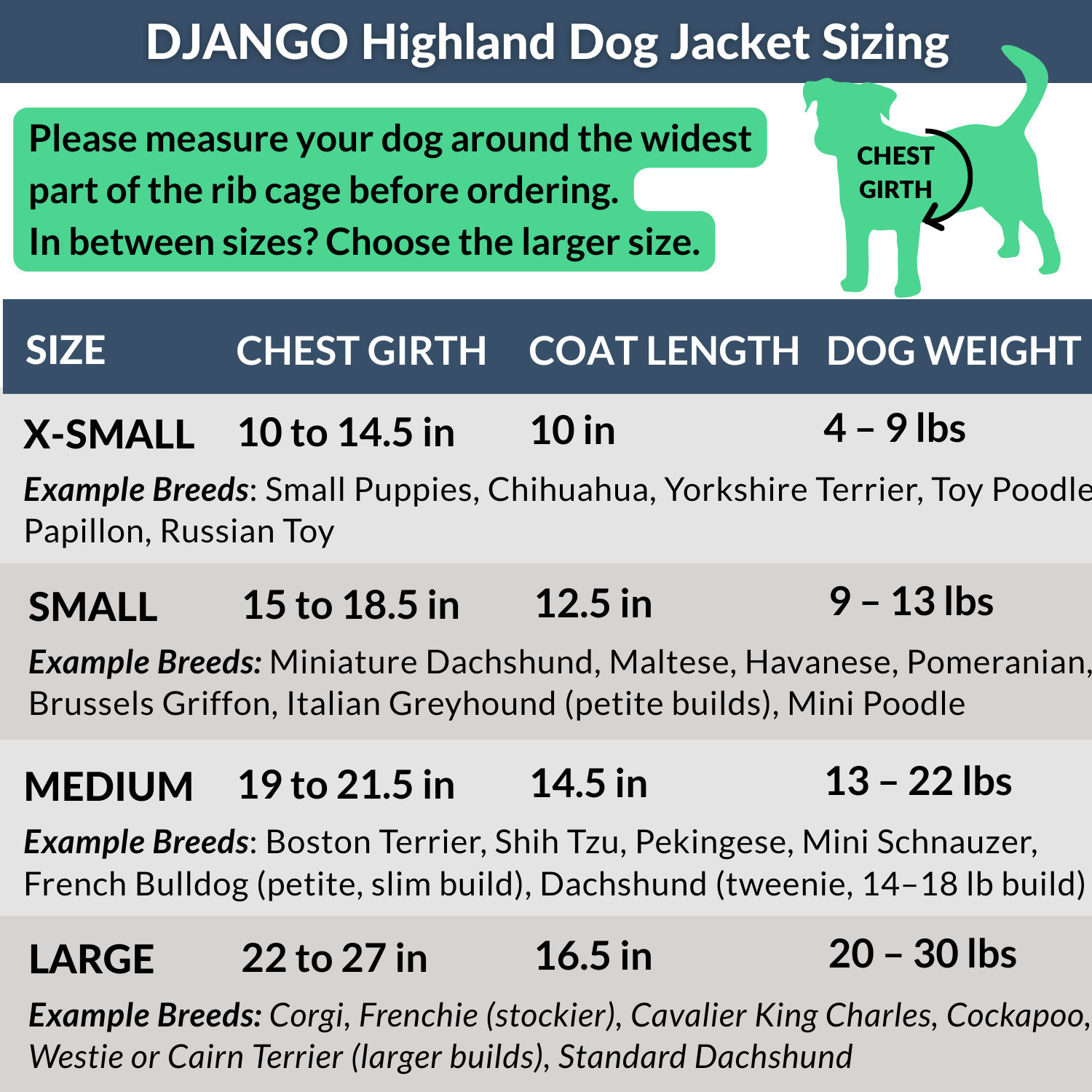 DJANGO - Wholesale Pet Raincoat - Dog - Highland Dog Jacket and Raincoat - Dandelion Yellow8