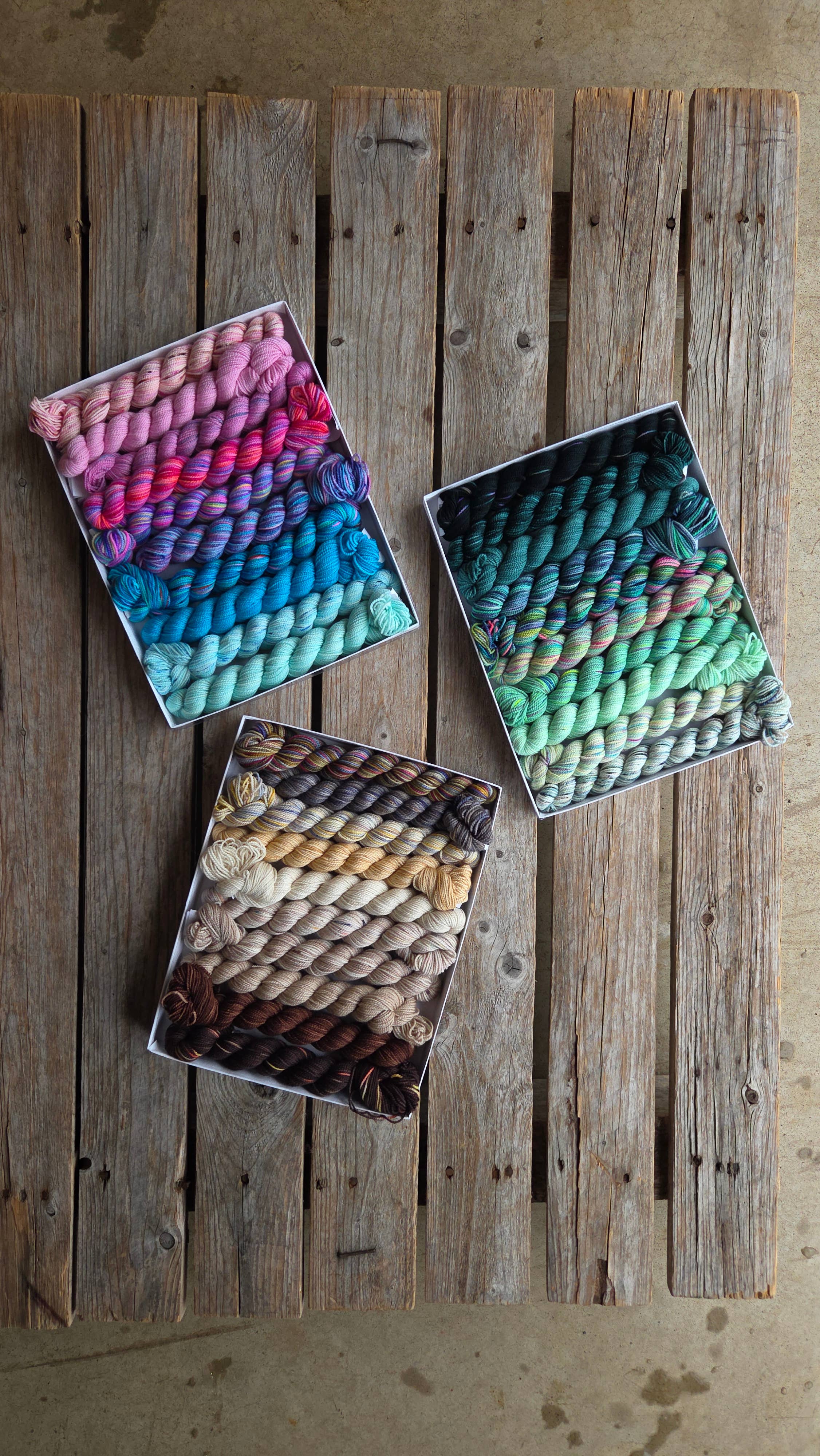 Koigu Wool Designs – wholesale Knitting/Crochet Supplies – Venation Shawl Kits - Pencil Boxes x Ambah 16