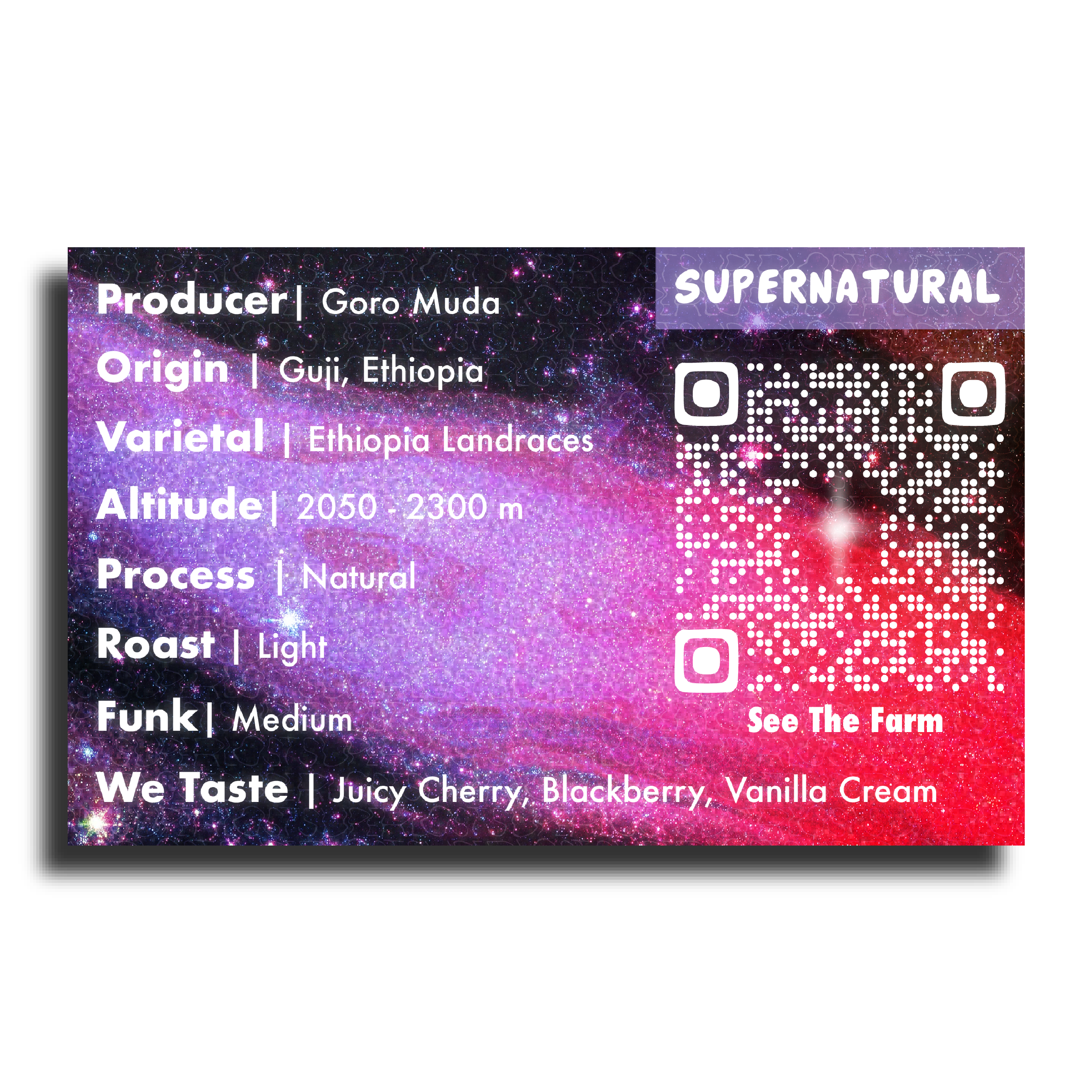 Superlost Coffee – Großhandel Kaffeebohnen – Übernatürlich | Goro Muda - Guji, Äthiopien Naturbelassen1