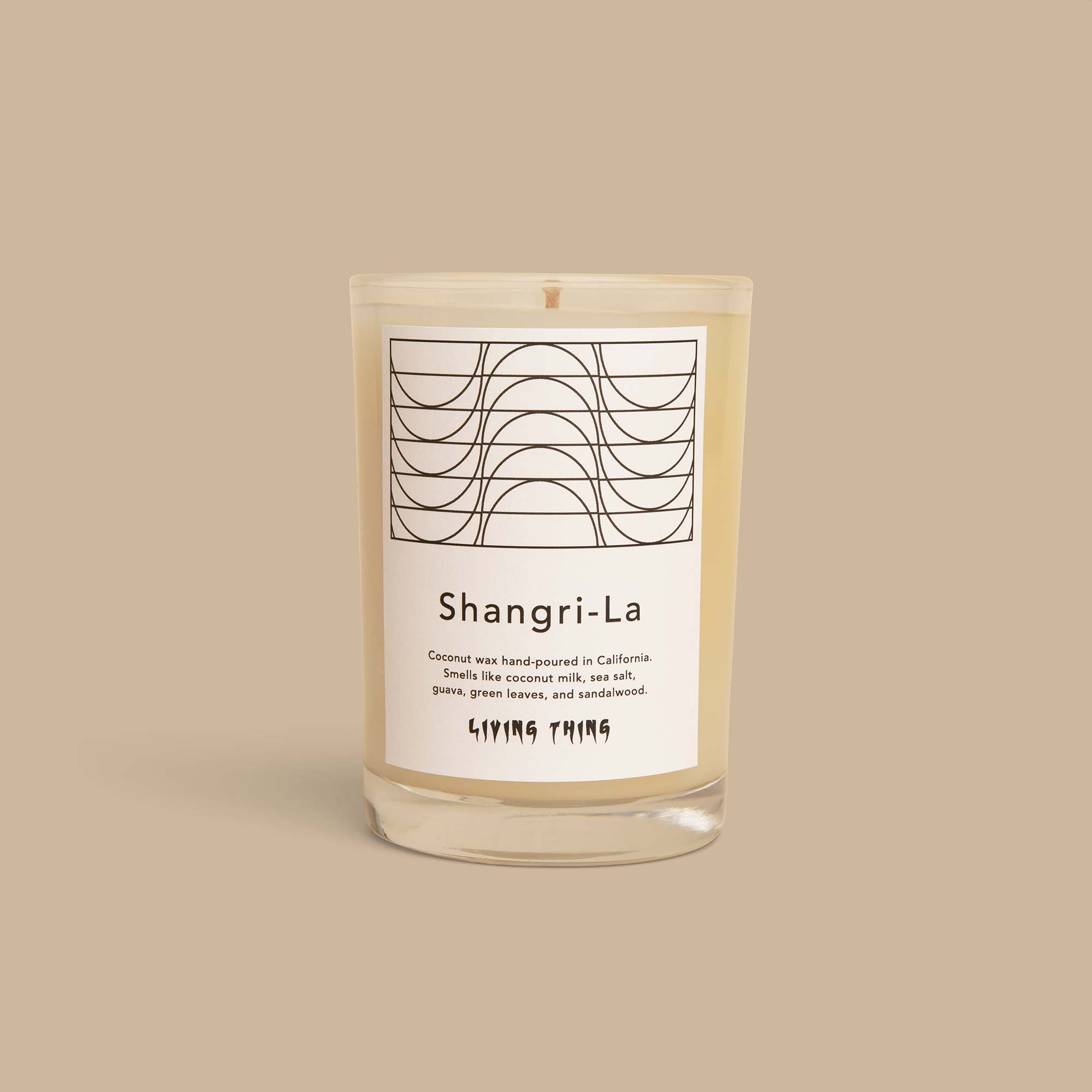 Living Thing - Vendita all'ingrosso Candela in vasetto - Shangri-La: Candela tropicale Guava, cocco e legno di sandalo2