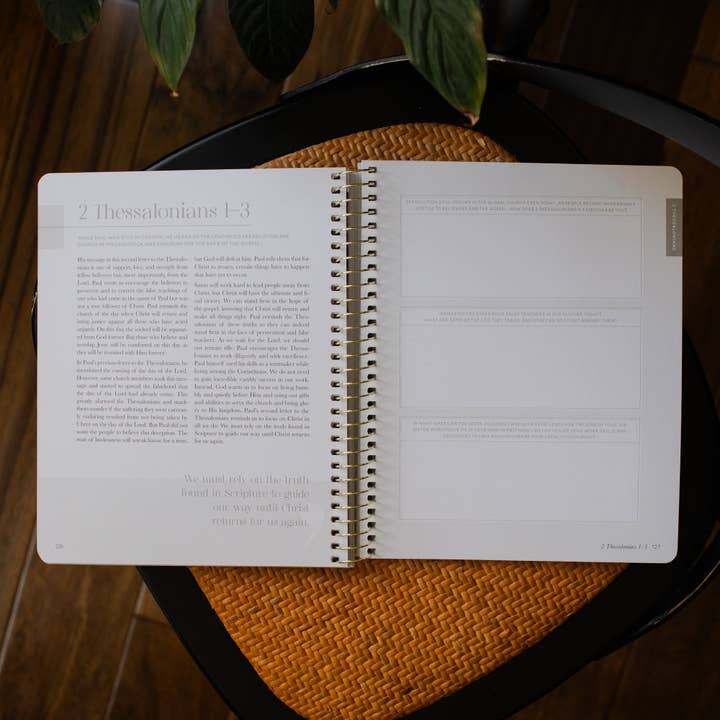 The Daily Grace Co - Wholesale Religion - Eden to Eternity | The Chronological Story of Scripture | Volume 4 (Spiral Bound)4