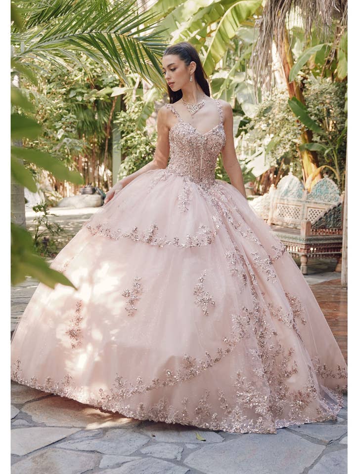 Lace Applique Illusion Bodice With Intricate Embroidery With for wholesale by Juliet