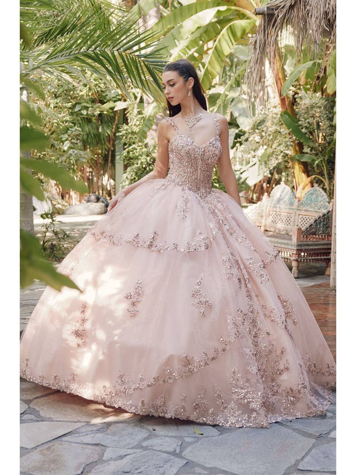 Lace Applique Illusion Bodice With Intricate Embroidery With for wholesale by Juliet