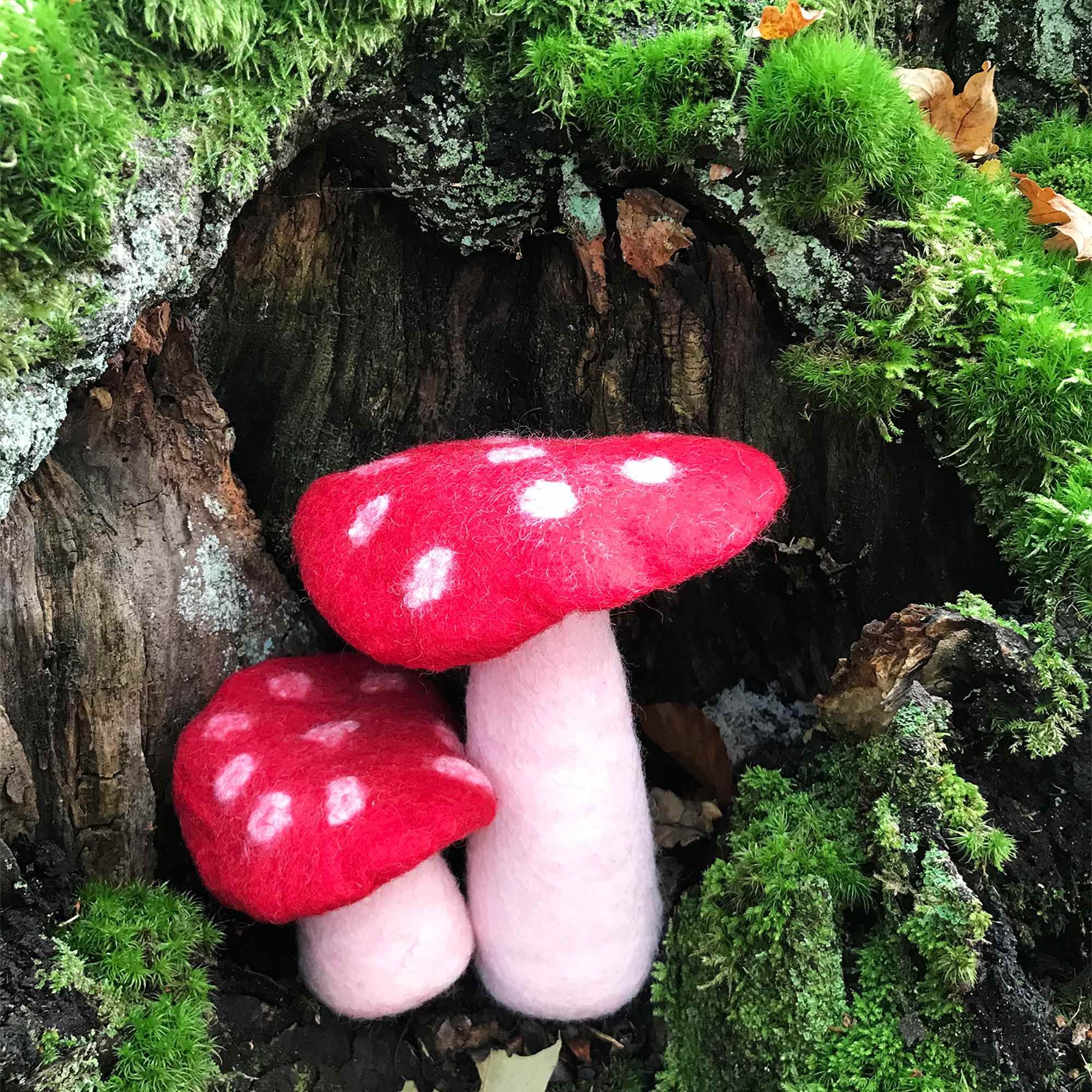 Tribal Trade GmbH - Vendita all'ingrosso Statuette decorative - Fungo amanita muscaria in feltro rosso, disponibile in 3 dimensioni6