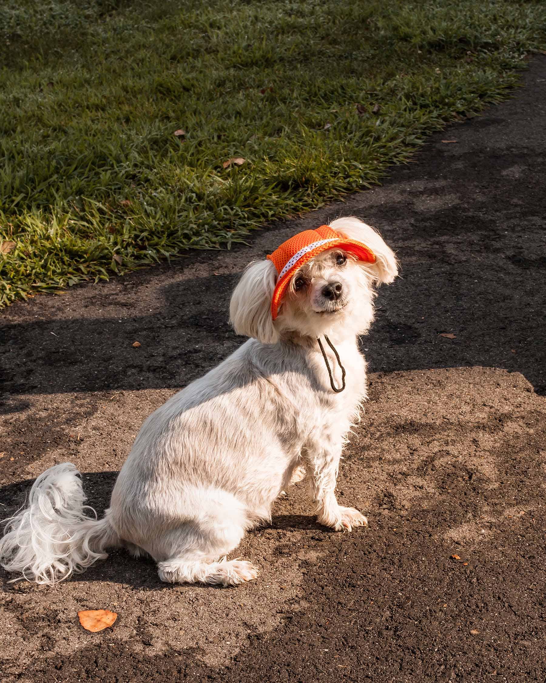 Pet Life - Wholesale Hoed voor honden - Hond - Pet Life ® Sea Spot Sun UV-werende verstelbare hondenhoed met rand14