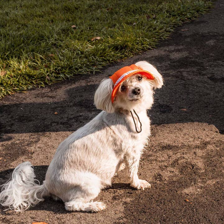 Pet Life - Wholesale Hoed voor honden - Hond - Pet Life ® Sea Spot Sun UV-werende verstelbare hondenhoed met rand14