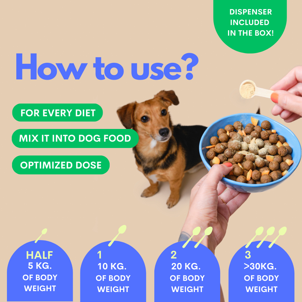 JAMPY - Wholesale Pet Supplement - Cat/Dog - My Healthy Joints - Dog Mobility Supplement Powder Plant-based 2