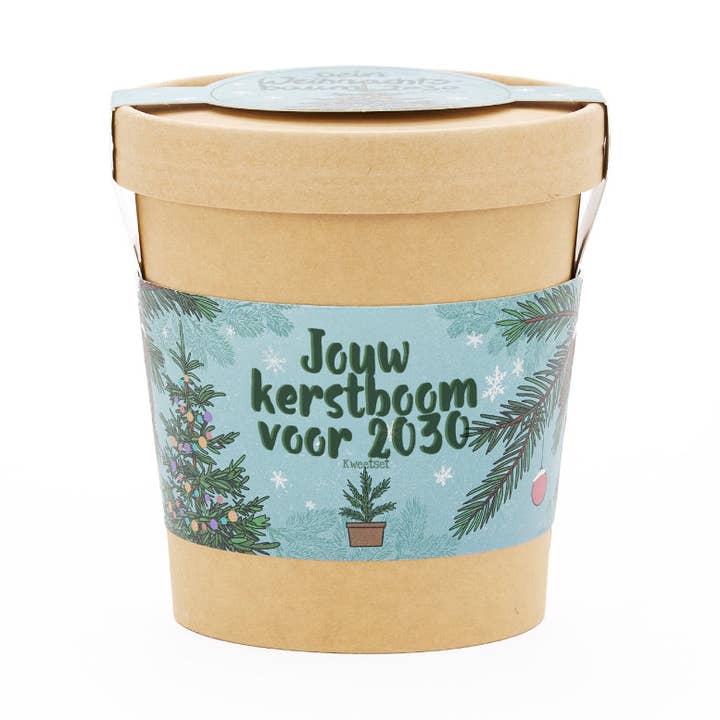 Árbol de Navidad fuera de la copa (NL) para venta al por mayor de TDJ Stadtgärtner GmbH