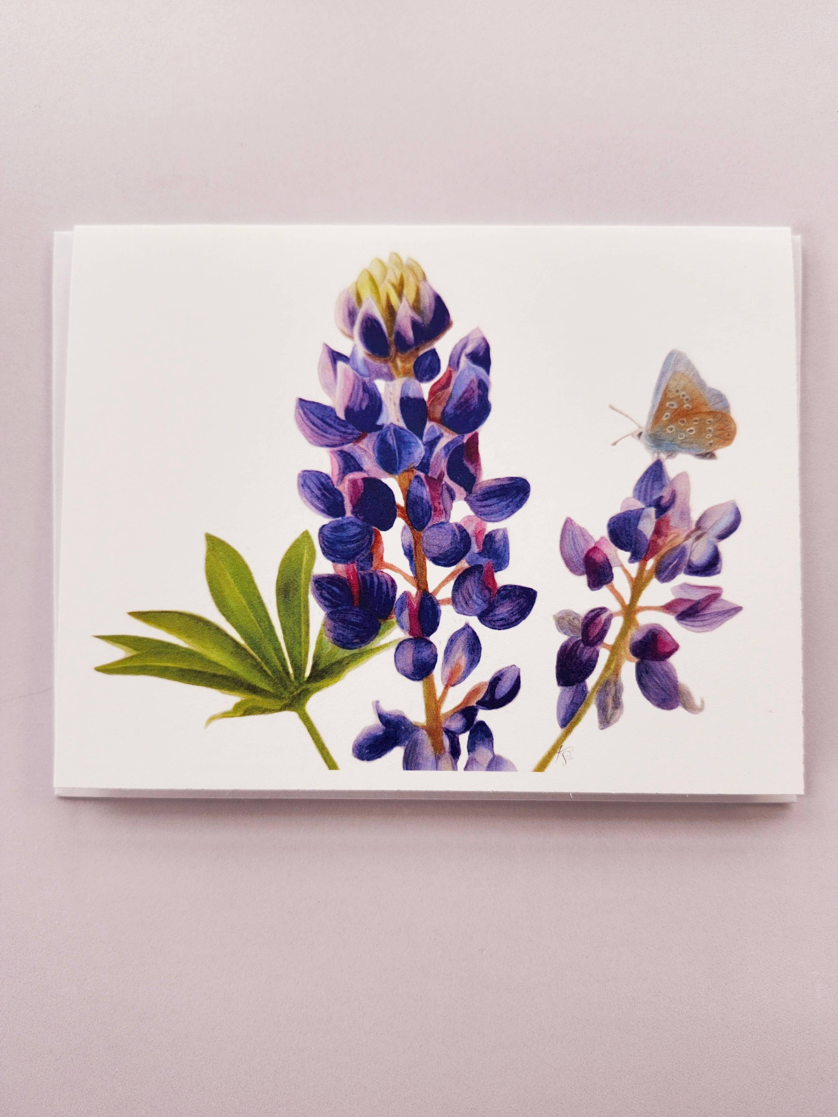 Redbriar Studio - Wholesale Stationery/Notecard Set - Notecards7