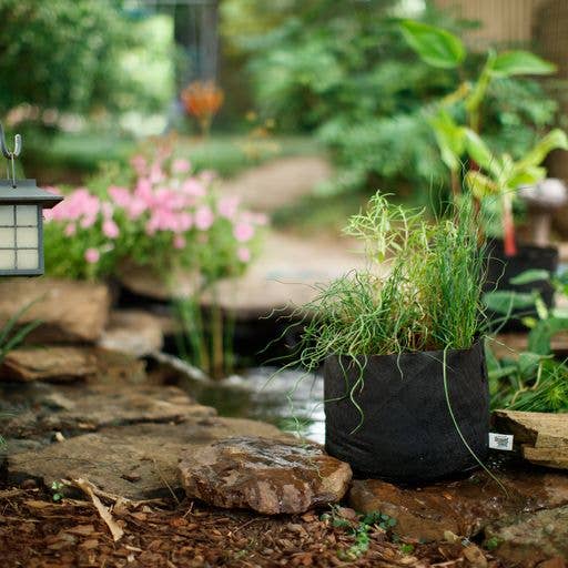 Smart Pots - Wholesale Plant Pot - Pond Pots 10 Gallon5