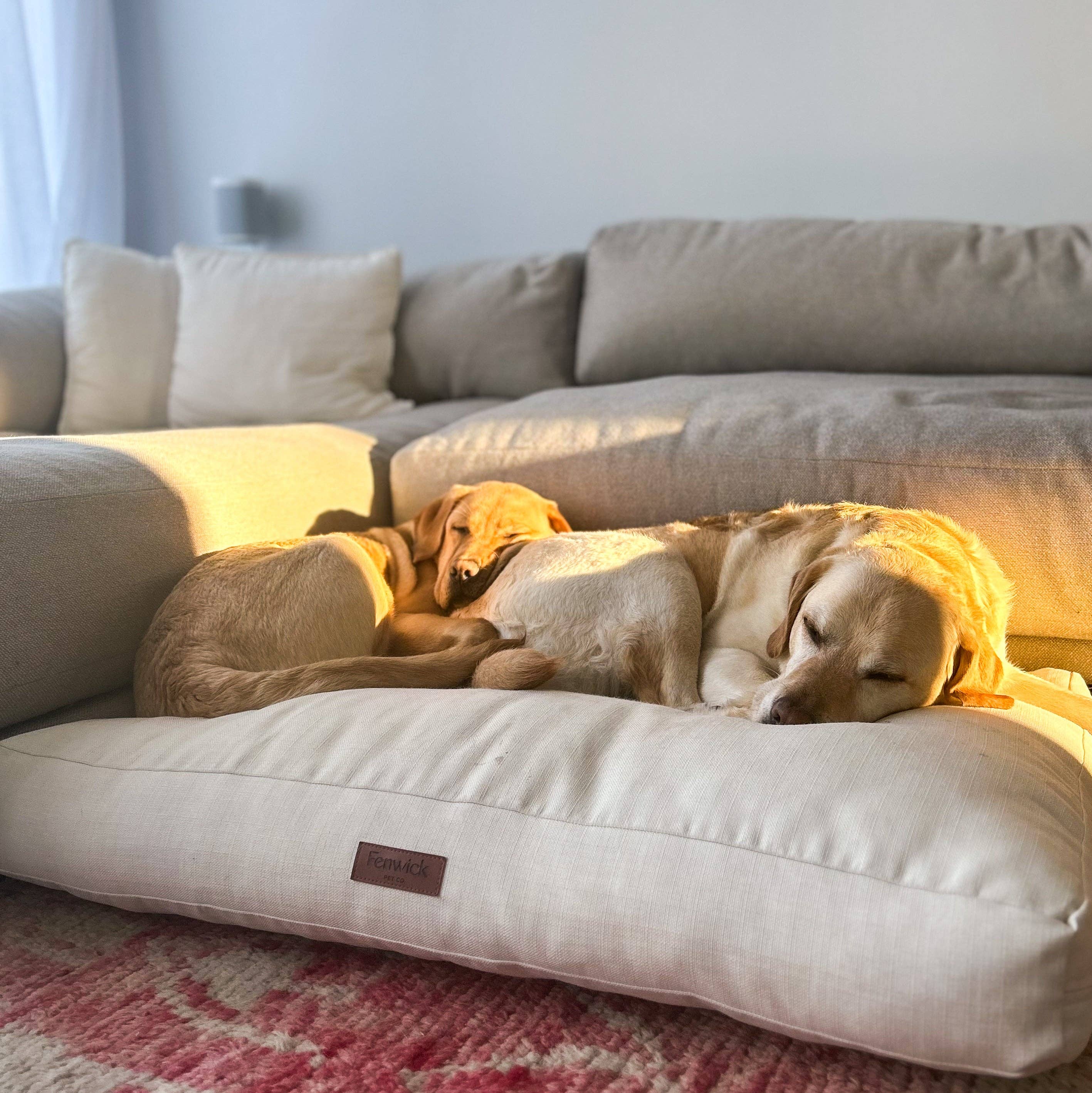 Fenwick Pet Co. - Vendita all'ingrosso Letto - Cani - Cuccia per cani Fenwick3