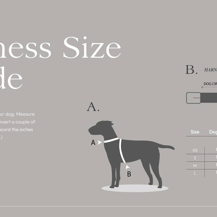 Buddys dogwear - Vendita all'ingrosso Pettorina - Cani - Pettorina regolabile per cani con motivo freccia peruviana rossa5