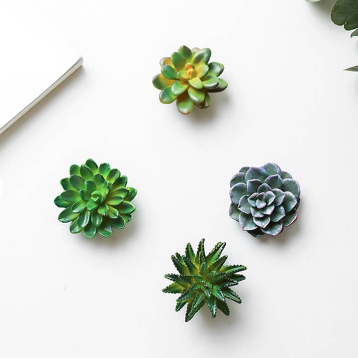 Woodbe Co - Wholesale Magnet - Mini 3D Succulent Resin Magnets6