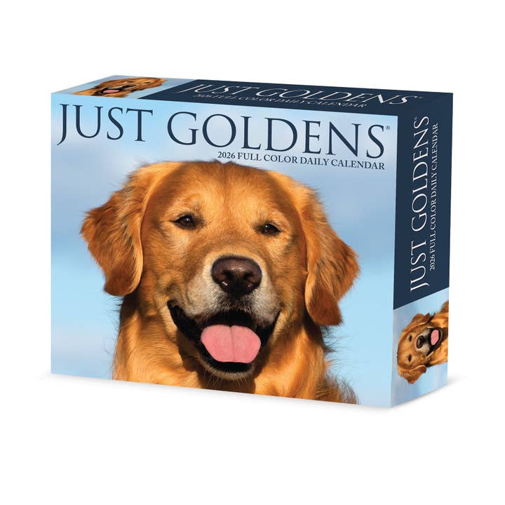 Calendrier quotidien Goldens 2026 6,2" x 5,4" pour la vente par Willow Creek Press & Gifts
