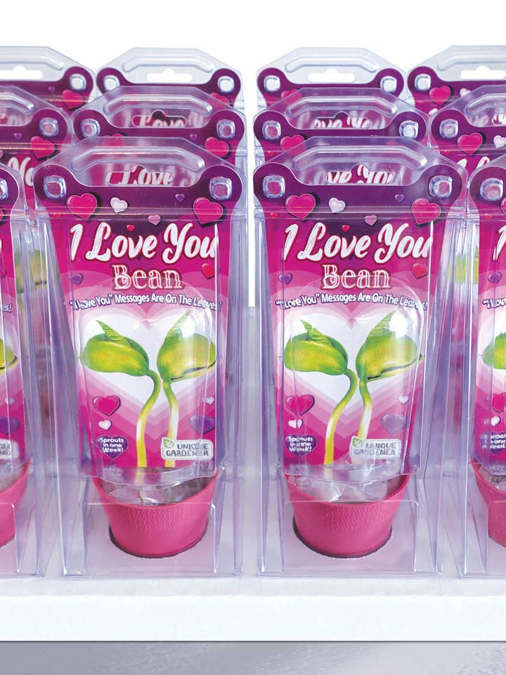 I Love You Bean Terrarium 12 Piece Counter Display for wholesale by Silver Circle Products