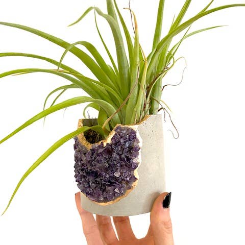 Plant One On Me Designs - Wholesale Plant Pot - Large Geode Planter with Air Plant - Mixed Crystal - Vessel