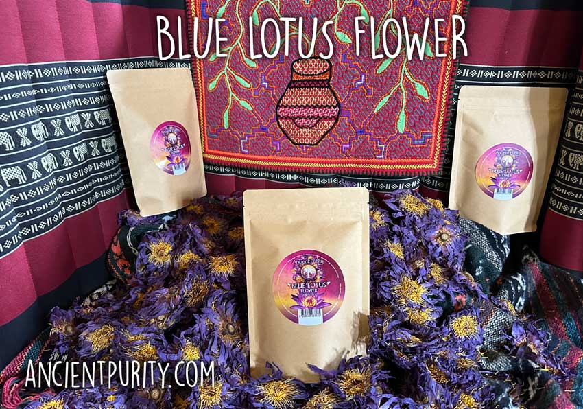 Ancient Purity – Großhandel Loser Tee – Blaue Lotusblume - 20g | Sri Lanka | Ganze Blüten | Tee3