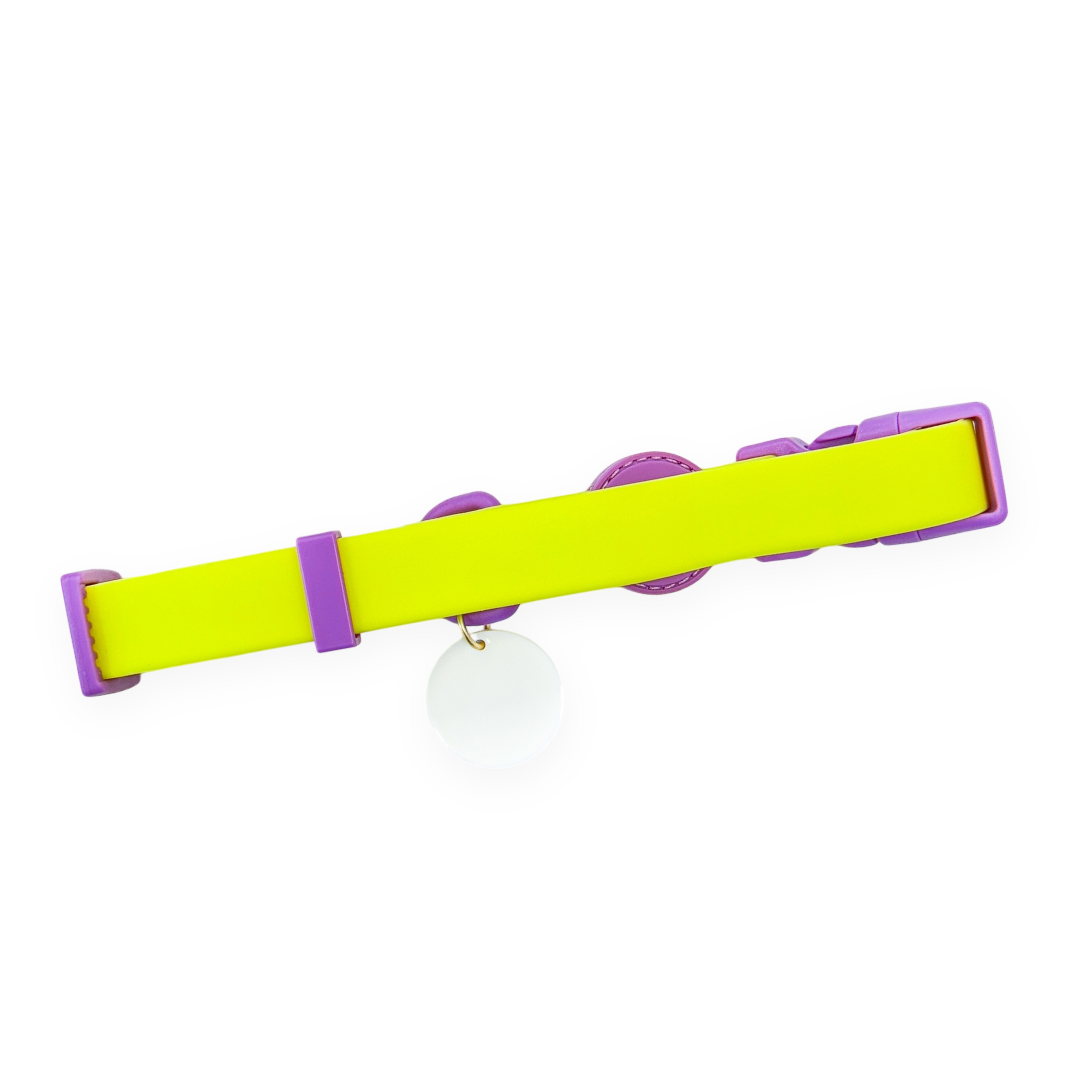 Pawsome Paws - Vendita all'ingrosso Collare - Cani - Collare impermeabile Disney© - Buzz Lightyear1