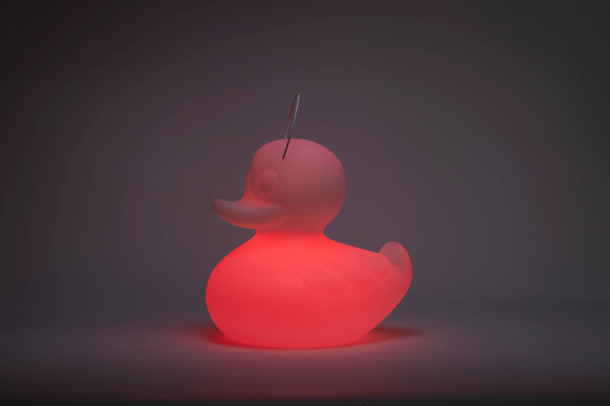 Goodnight Light - Wholesale Accent/Desk Lamp - The Duck Duck Lamp XL 51 cm - floating rechargeable lamp19