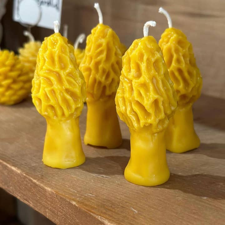Sister Bees LLC - Wholesale Grappige kaars - Morel Mushroom Candle -100% pure bijenwas1