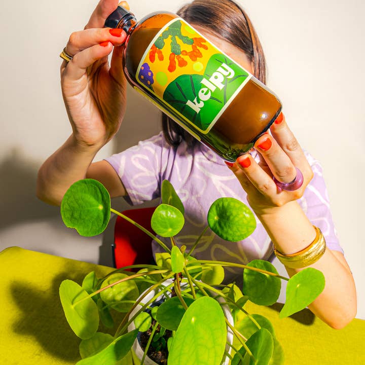 Kelpy - Wholesale Fertiliser - Kelpy Plant Food 500 ml/ 16.8 oz "Jungle Size"1