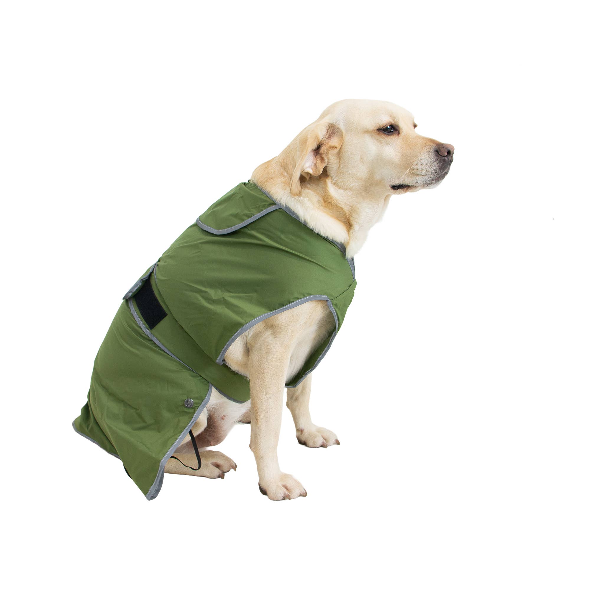 Ancol Pet Products Ltd - Wholesale Pet Coat - Dog - Stormguard Soft Shell  Dog Coat Khaki XS-XXL 5
