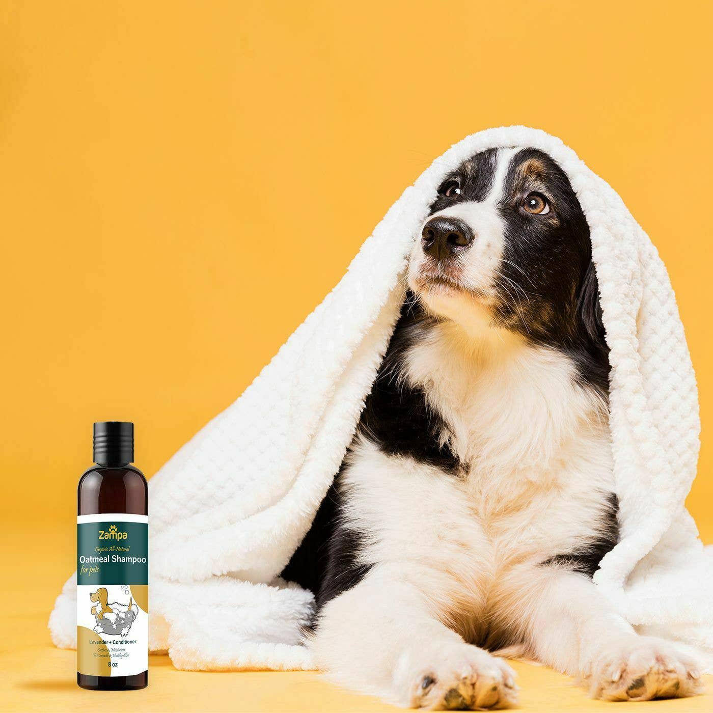 Wholesale cheap pet shampoo