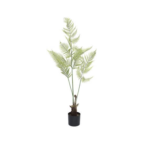 Ormbunke XL - Grön - H200 cm för wholesale av Pottery Pots