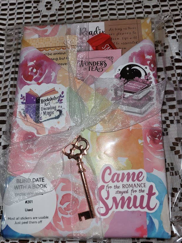 Bearly Hyde N Cabin Used Books & Gifts - Wholesale Contemporary & Literary Fiction - Blind Date with a Book (Previously Loved) Fiction 1