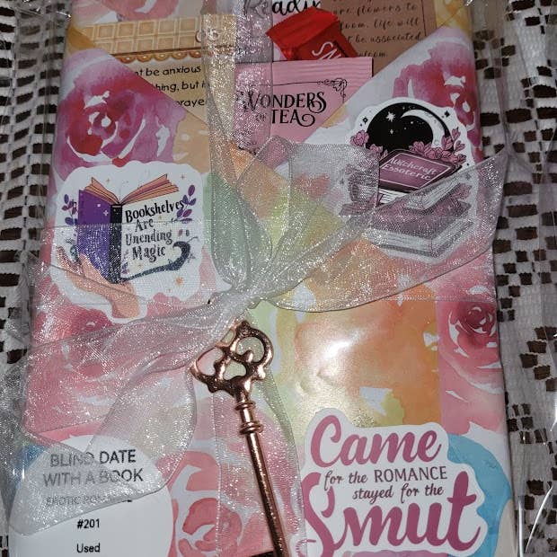 Bearly Hyde N Cabin Used Books & Gifts - Wholesale Contemporary & Literary Fiction - Blind Date with a Book (Previously Loved) Fiction 1