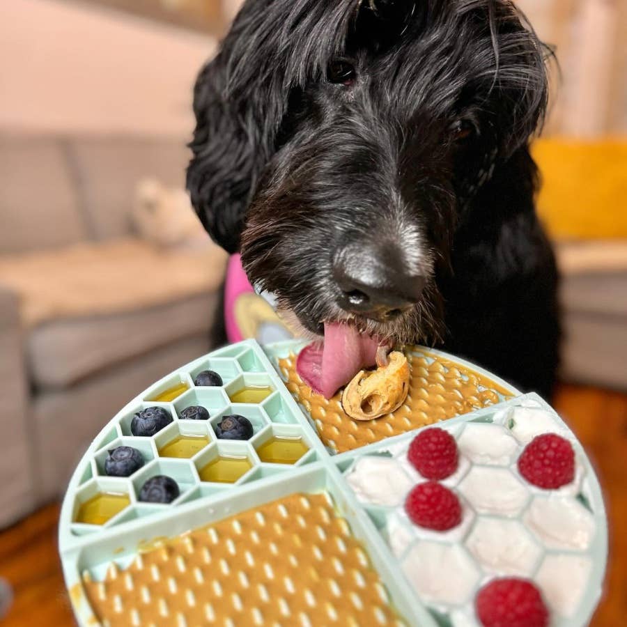 Bark Bistro - Wholesale Pet Treats - Dog - Dog Peanut Butter - 4oz Squeeze Packs Beef Broth Budder2