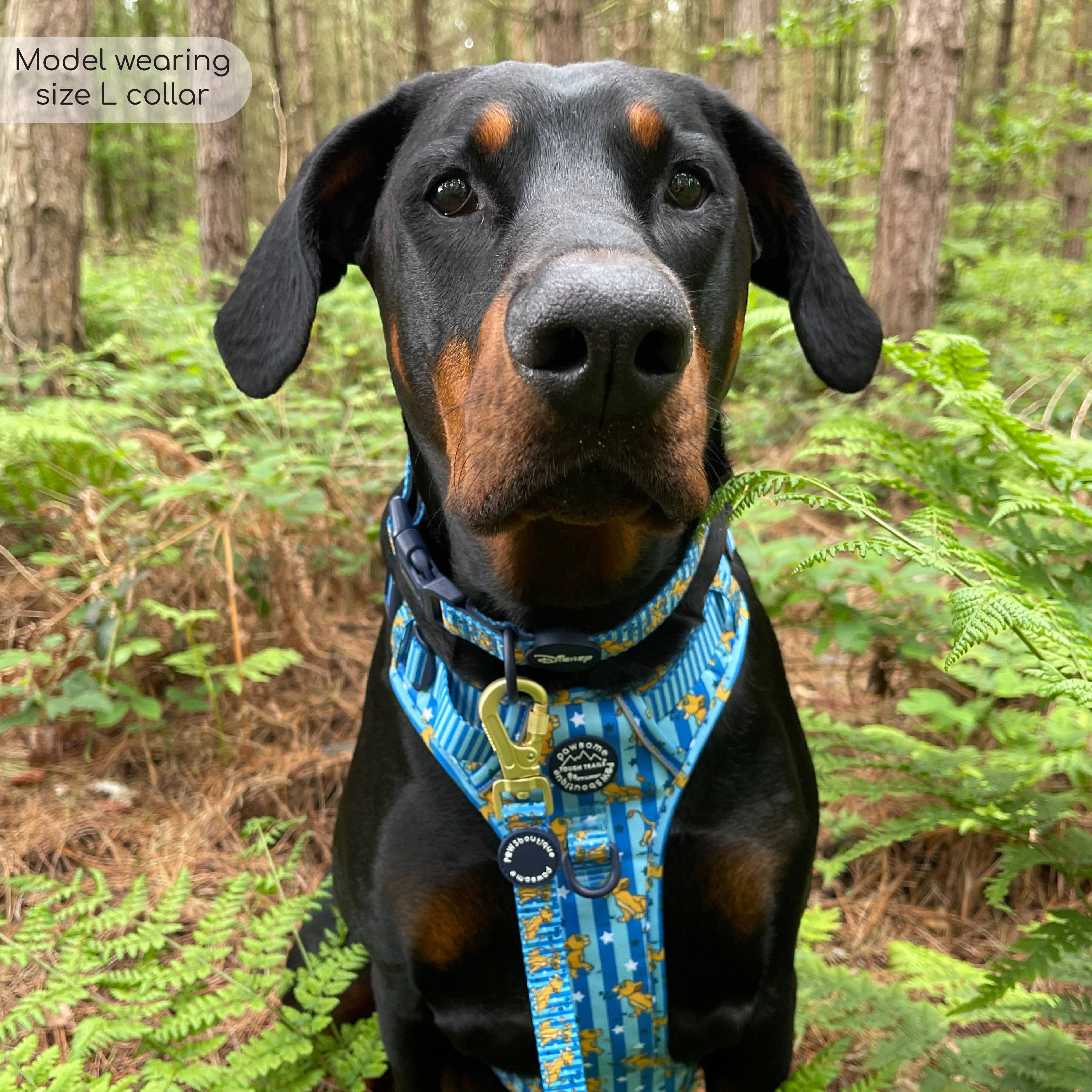 Pawsome Paws - Wholesale Pet Collar - Dog - Disney© Collar - Simba8