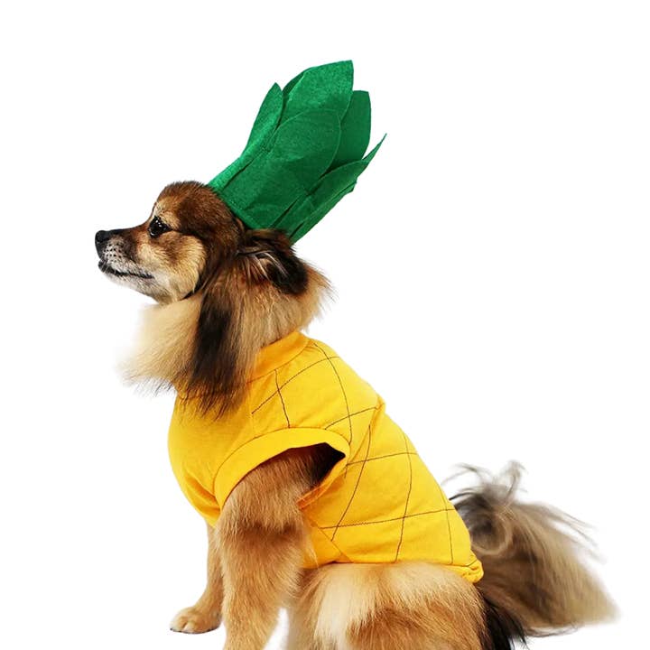 Midlee Designs – wholesale Pet costume – Dog – Midlee Pineapple Dog Costume9