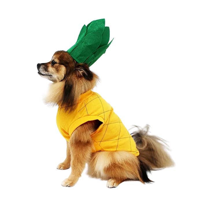 Midlee Déguisement pour chien ananas pour la vente par Midlee Designs