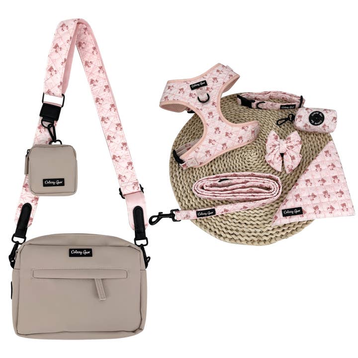 Teddy Coquette Pink Dog Mom Twinning Bundle ( Dog Walking Set + Matching Bag) for wholesale by Daizzy Gear