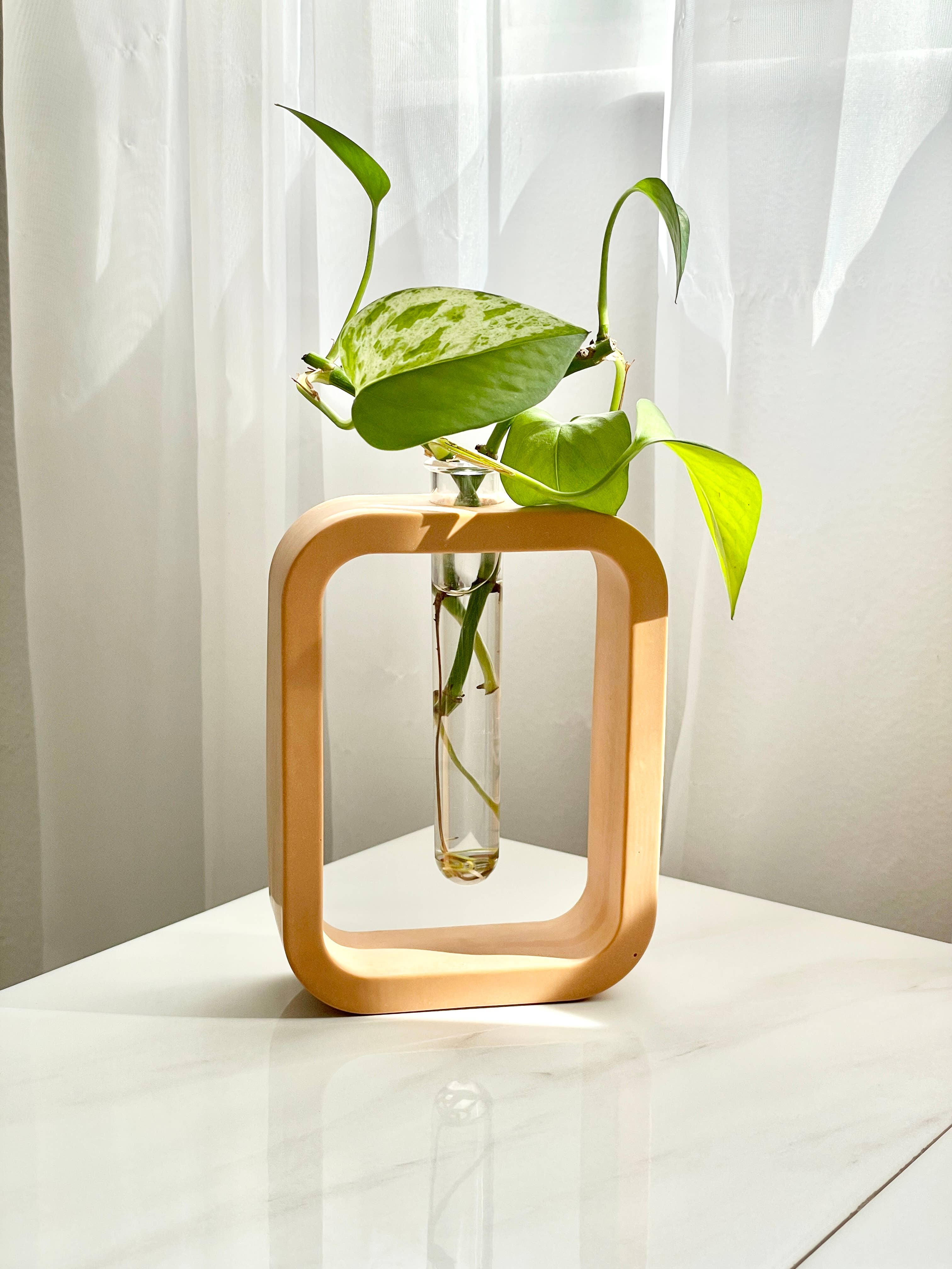 Need it Right MEOW – Großhandel Vasen – Betonständer mit Glas-Propagationsröhrchen und Vase [bunt]3