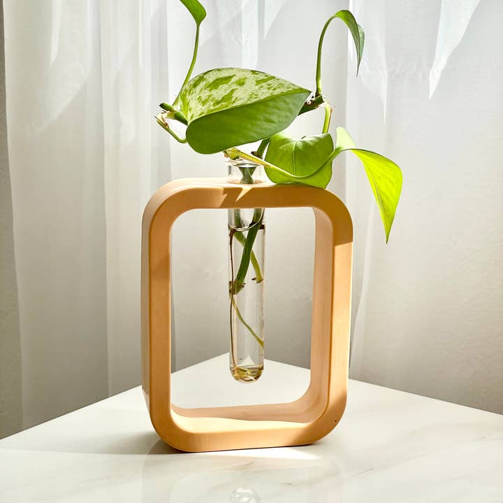 Need it Right MEOW - Vendita all'ingrosso Vasi - Stazione/Vaso in cemento colorato per propagazione piante3